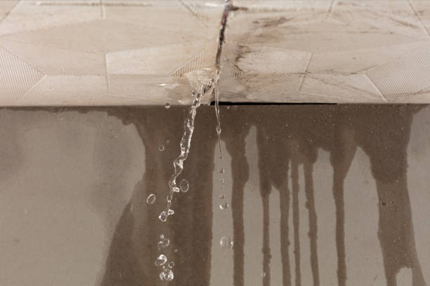 Professional Structural Drying technician working in Waterford, OH